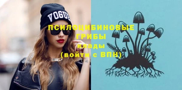 ПСИЛОЦИБИНОВЫЕ ГРИБЫ Рославль