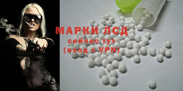 ПСИЛОЦИБИНОВЫЕ ГРИБЫ Рославль