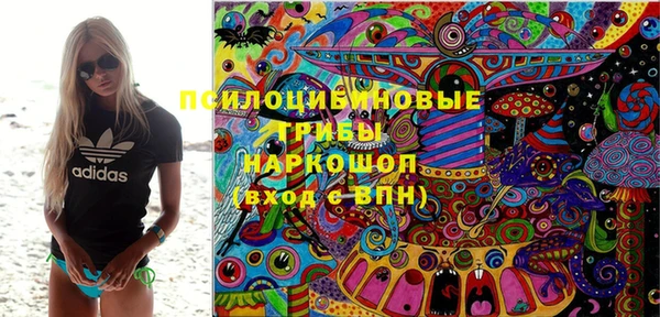 амф Россошь